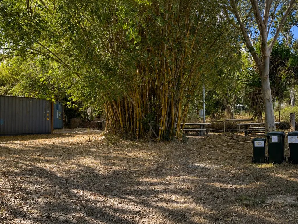 Bamboo and trees at GRaB Eco Park, Magnetic Island — the GRaB landing image